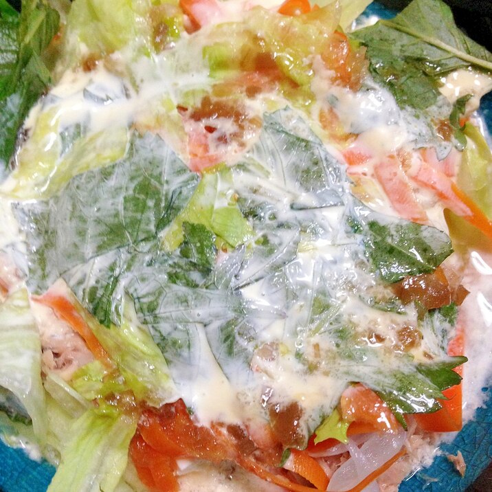 夏に美味しい⭐️ツナと野菜のマヨサラダ